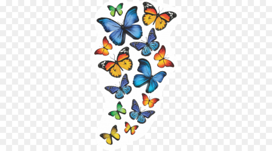 Mariposa，Las Polillas Y Las Mariposas PNG