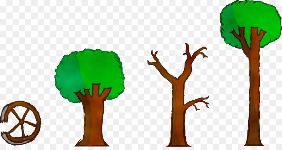 Verde，Árbol PNG