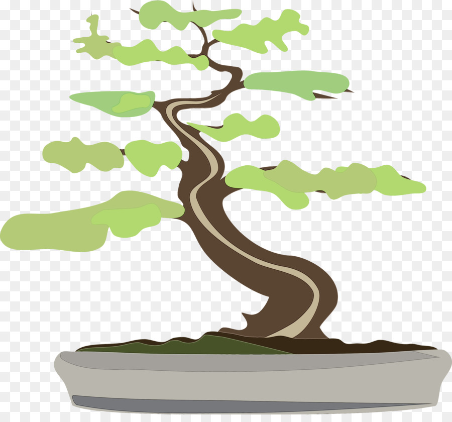 Árbol Bonsái，Árbol PNG