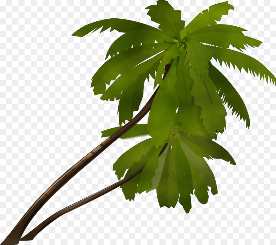 Hoja，Planta PNG