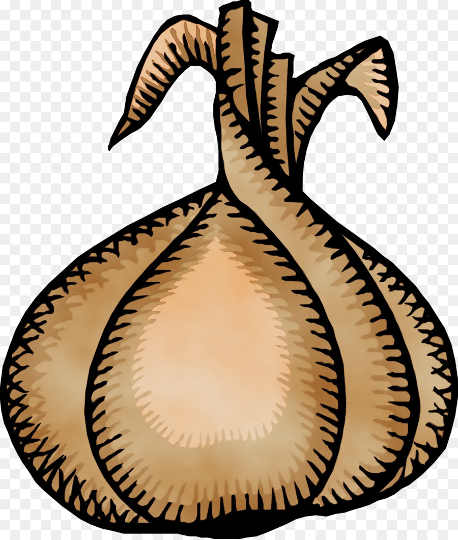 Planta，Nepenthes PNG