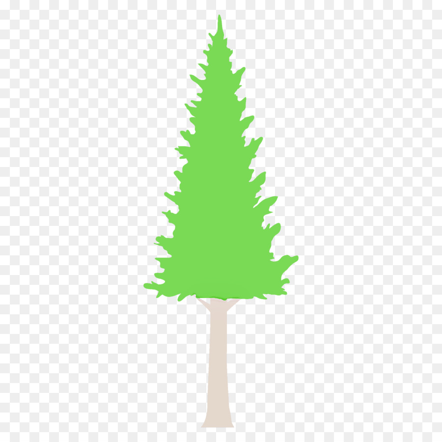 Árbol，Pino Blanco PNG