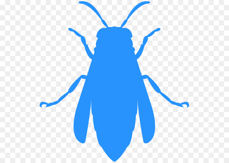 Los Insectos，Azul PNG