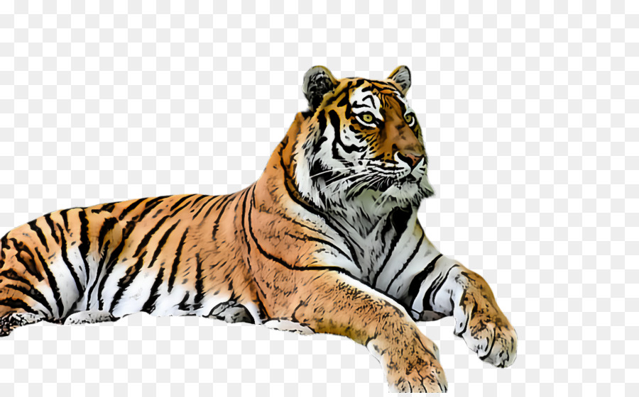 Tigre，La Vida Silvestre PNG
