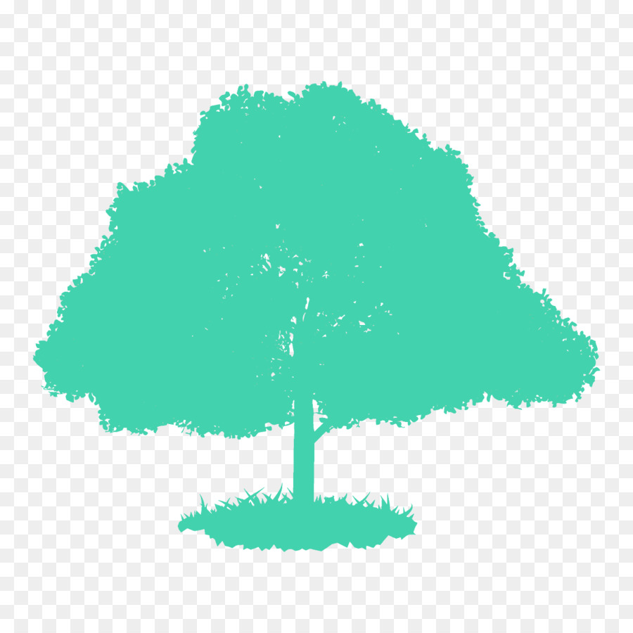 Verde，Árbol PNG