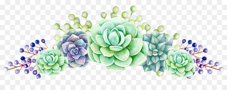 Echeveria，Flor PNG