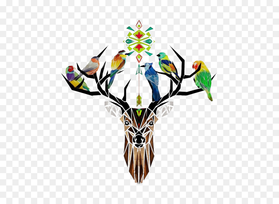 Loro，Aves PNG