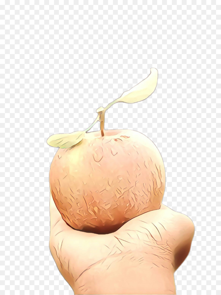 Planta，La Fruta PNG