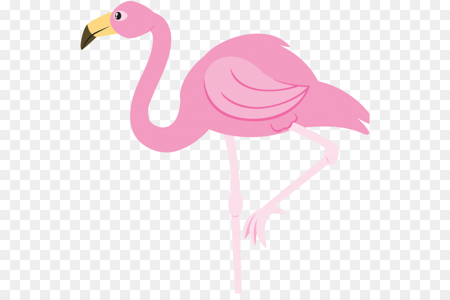 Flamingo，Flamenco PNG