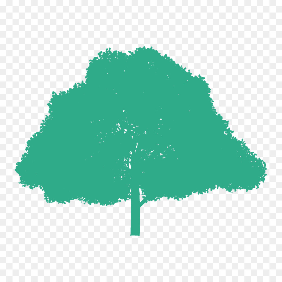 árbol Verde，Árbol PNG