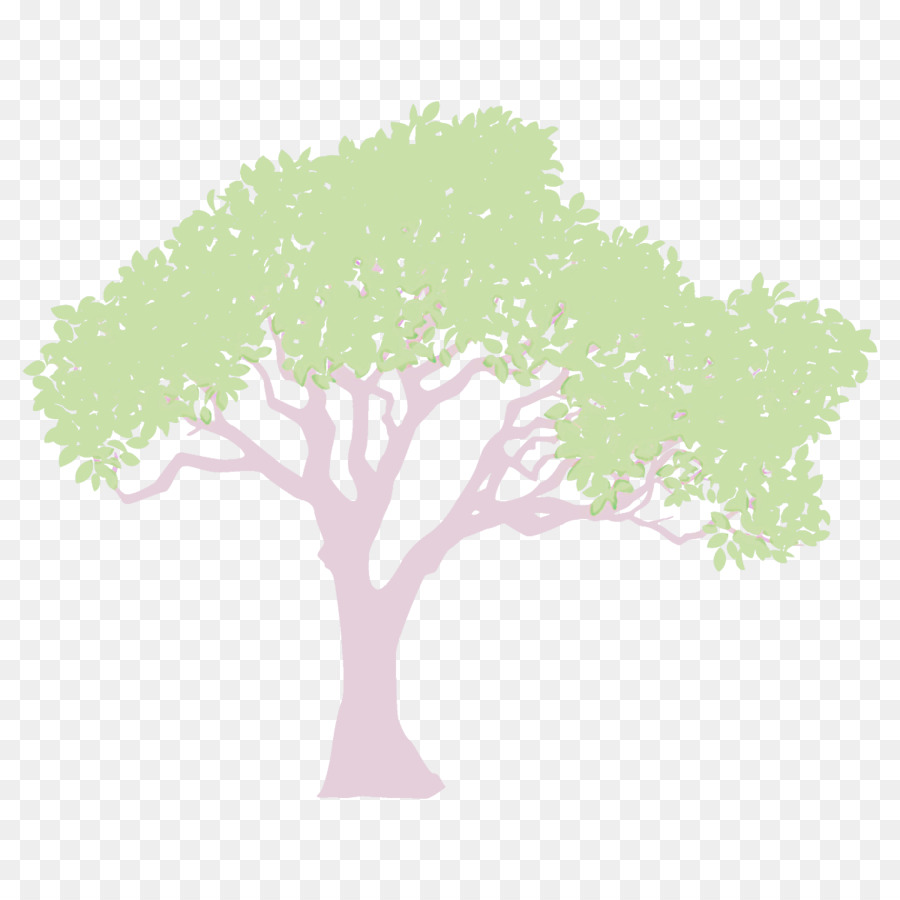 Árbol，Verde PNG