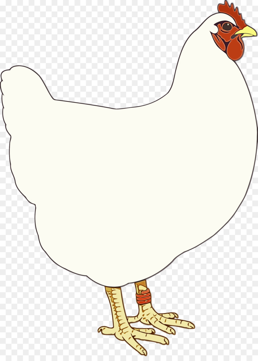 Gallo，Pollo PNG