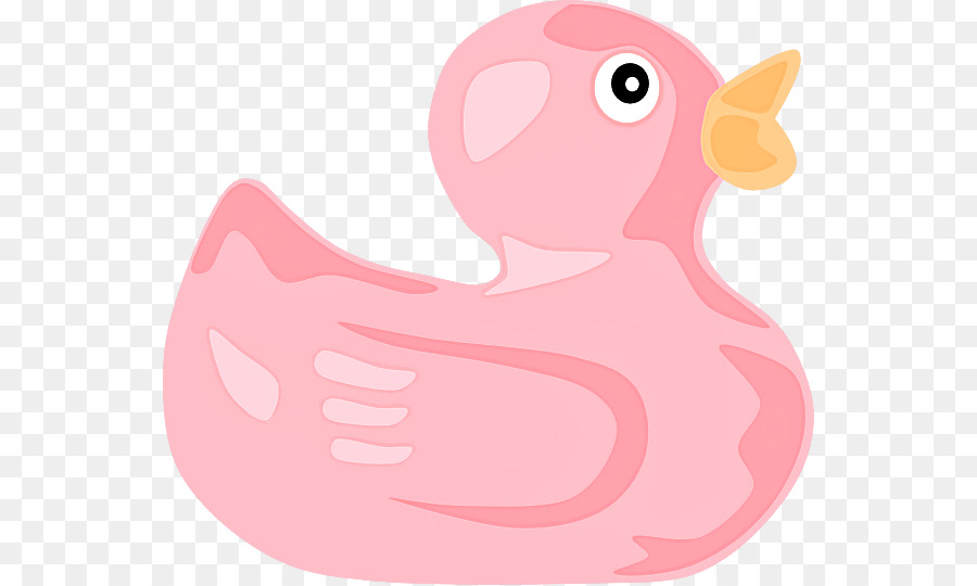 Rosa，Aves PNG