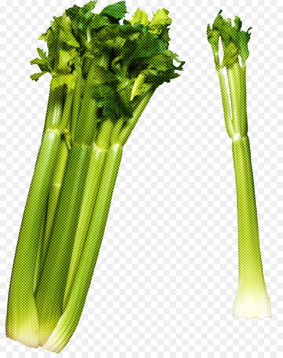 Vegetal，Apio PNG