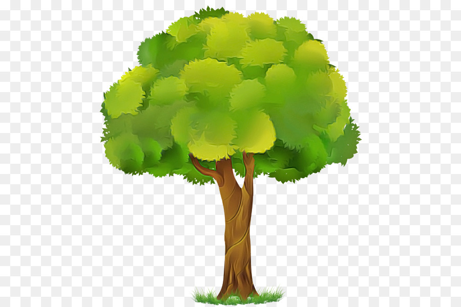 Verde，Planta PNG