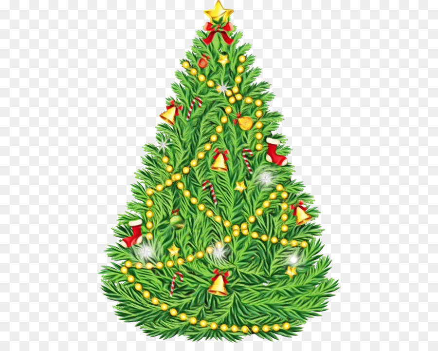Shortleaf Abeto Negro，árbol De Navidad PNG