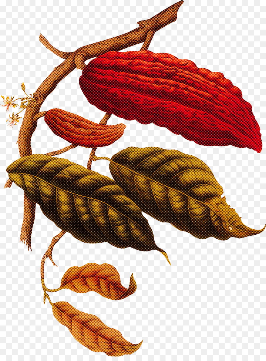 Hoja，Planta PNG