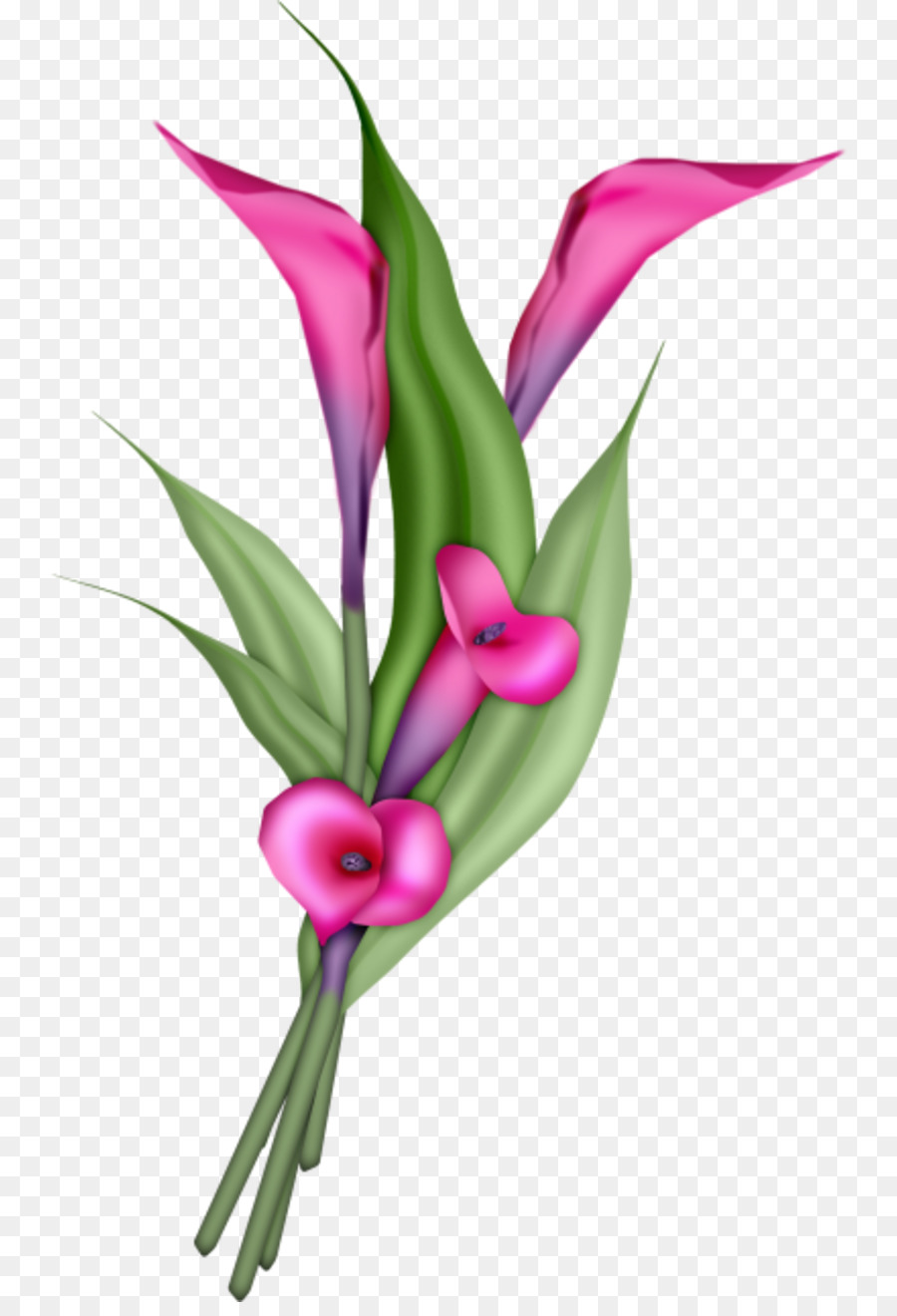 Flor，Rosa PNG