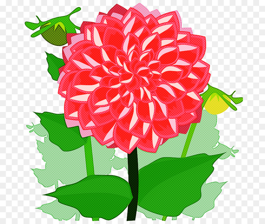 Flor，Planta PNG