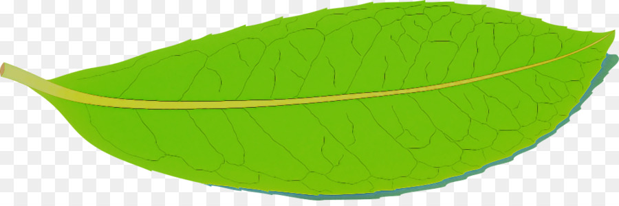 Verde，Hoja PNG