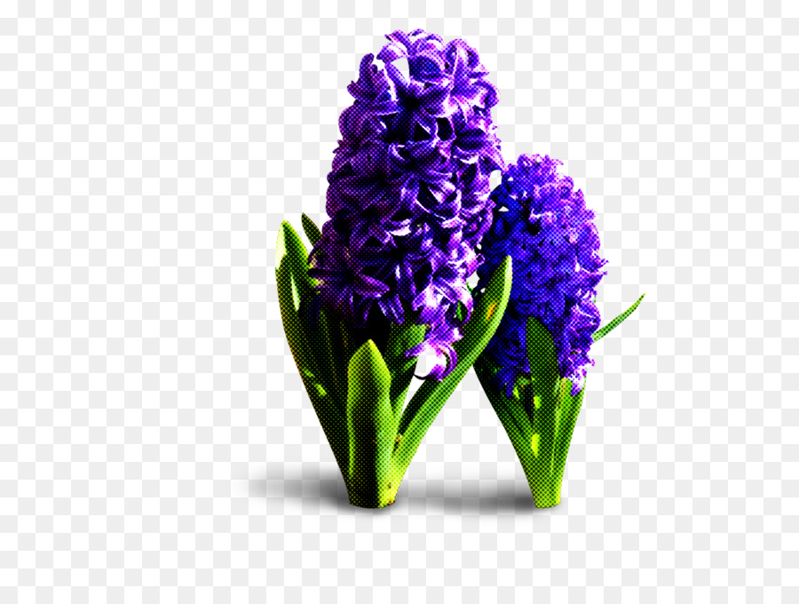 Flores Moradas，Florecer PNG