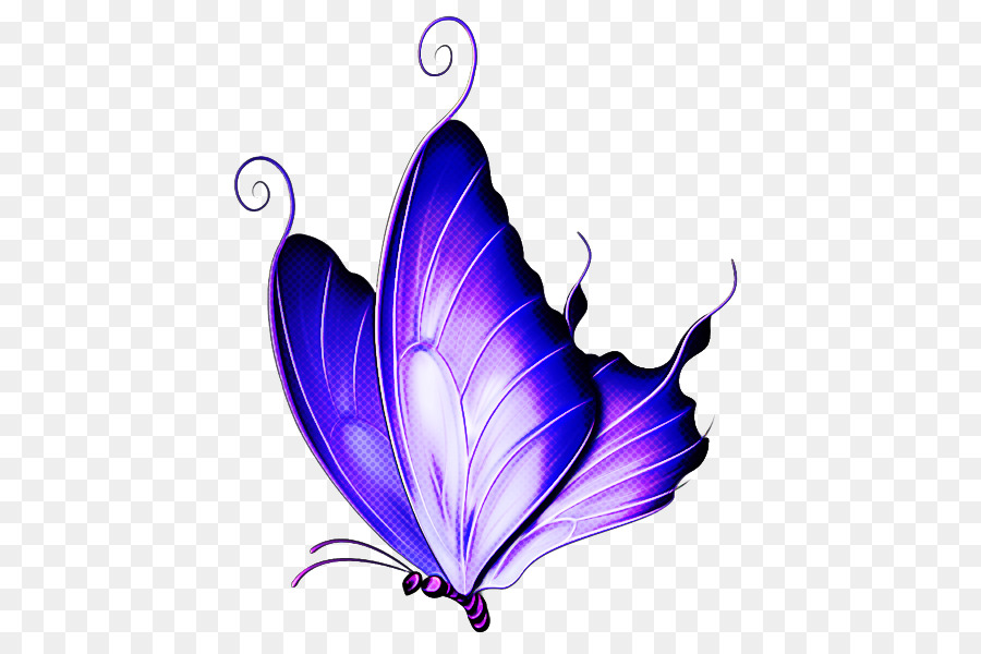 Mariposa，Violeta PNG