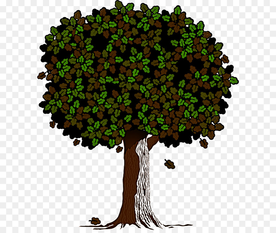 árbol Verde，Hojas PNG