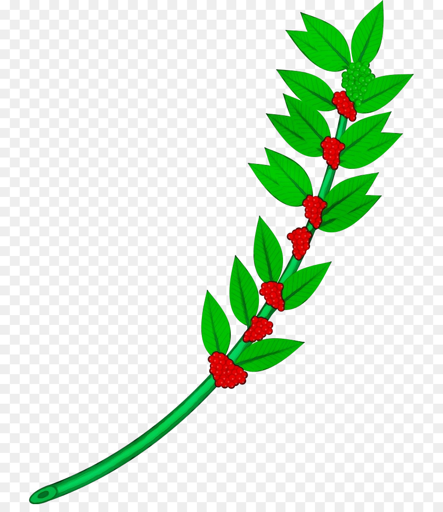 Hoja，Flor PNG