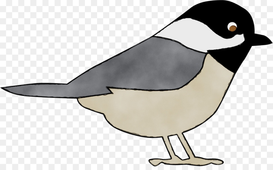 Pájaro，Rojo PNG