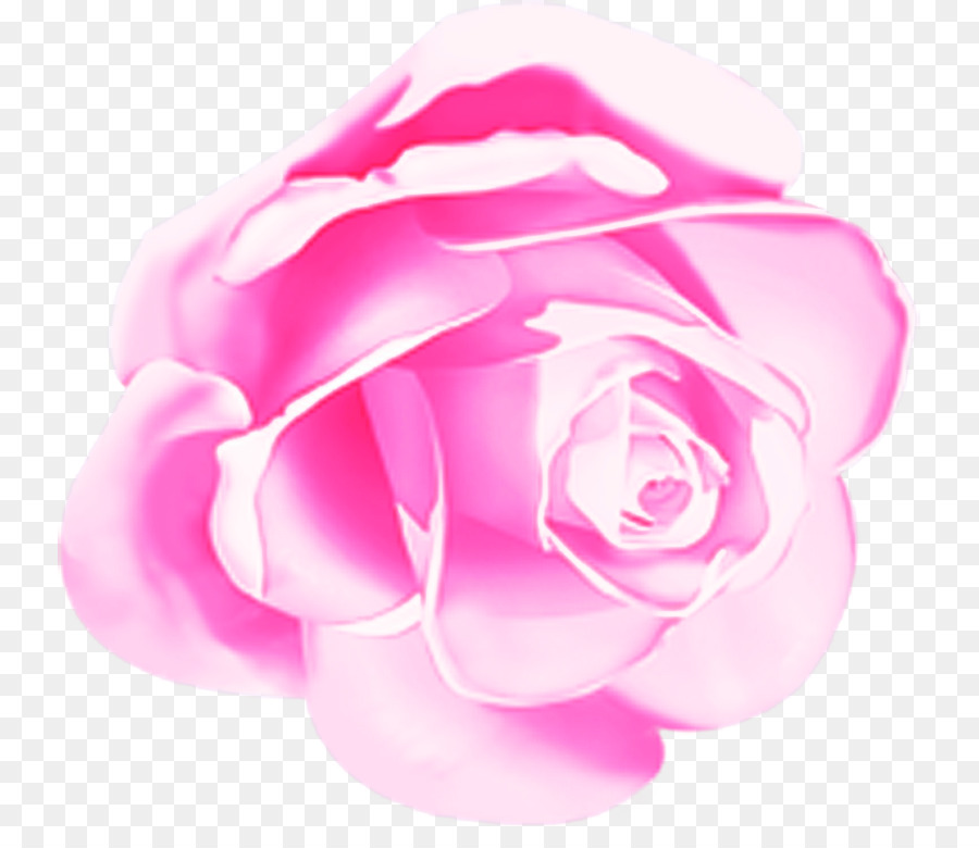 Rosa，Pétalo PNG