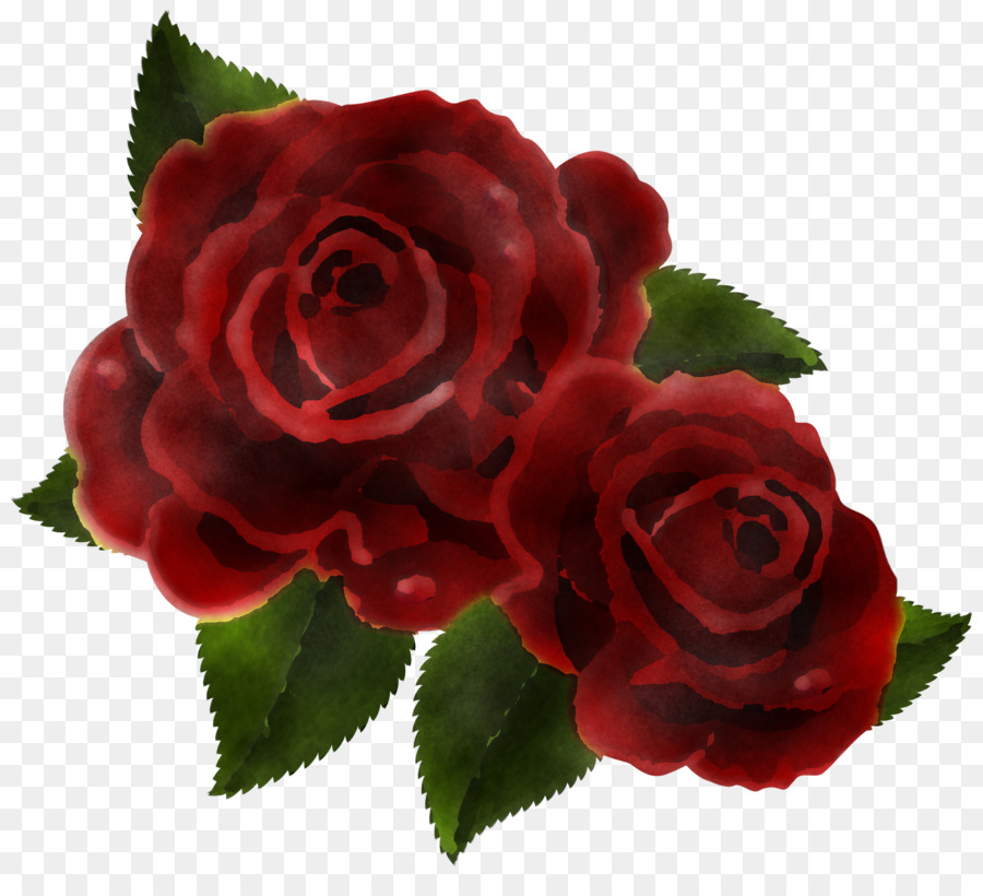 Rosa Roja，Floración PNG