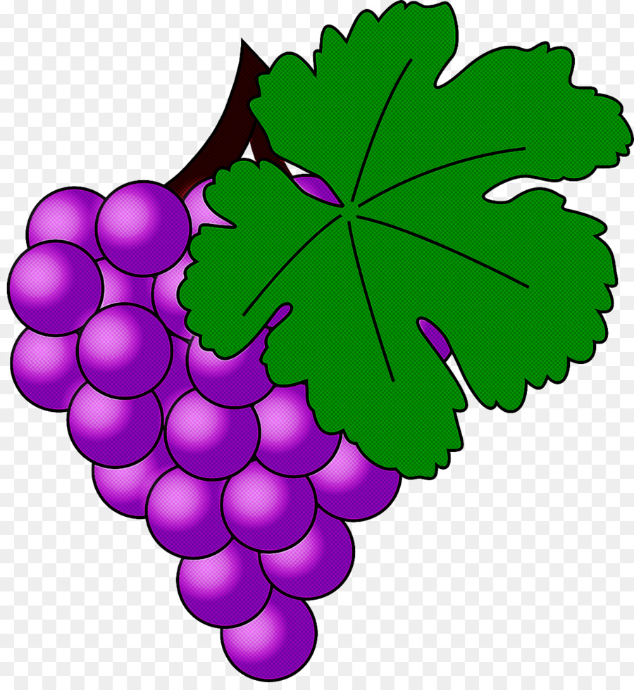 Uvas，Racimo PNG