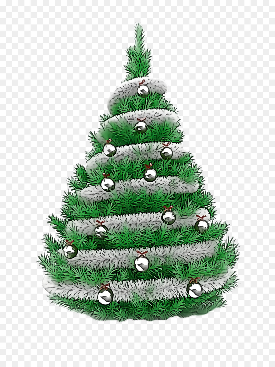 árbol De Navidad，Colorado Abeto PNG