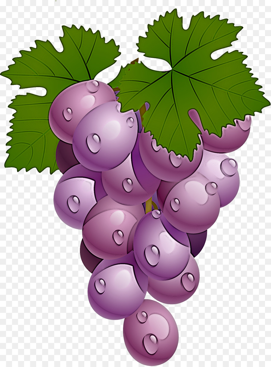 Uvas，Racimo PNG