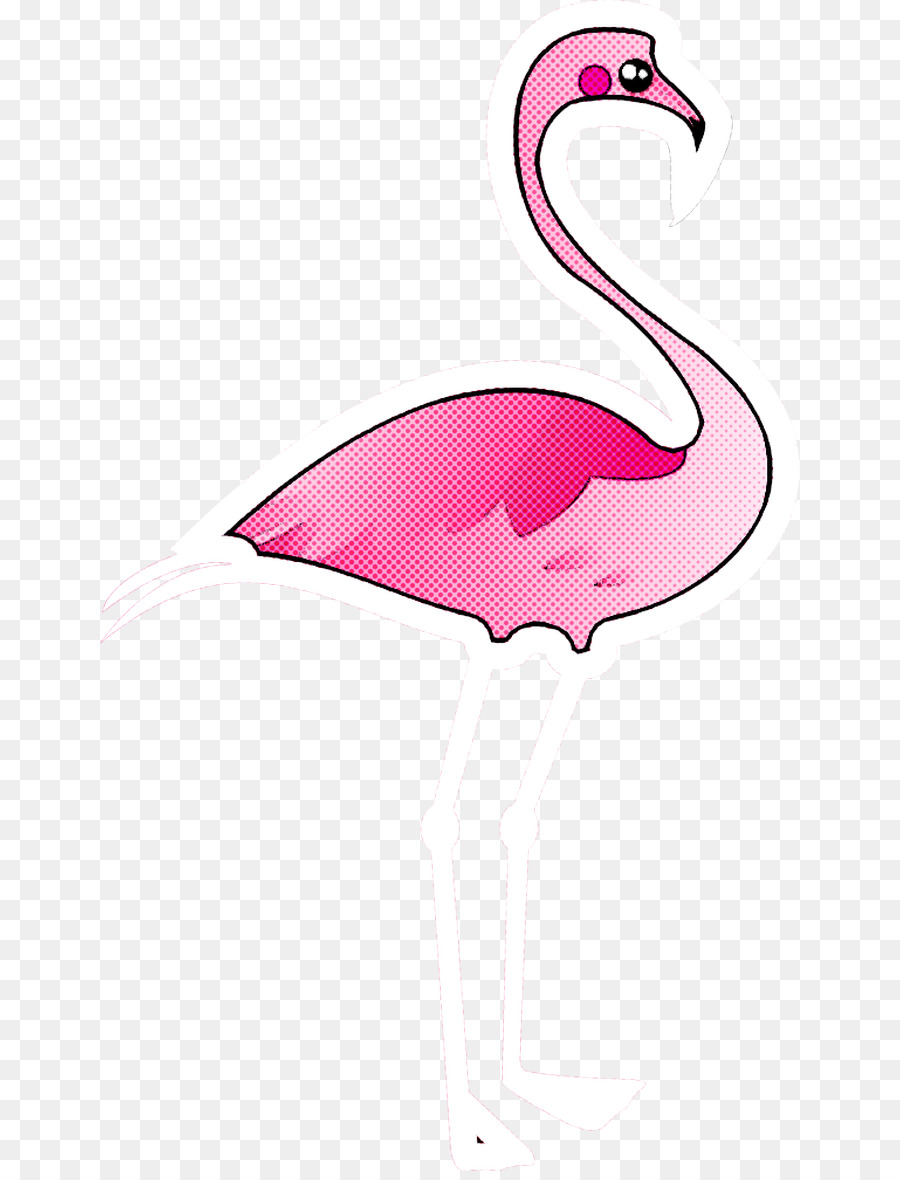 Flamingo，Flamenco PNG