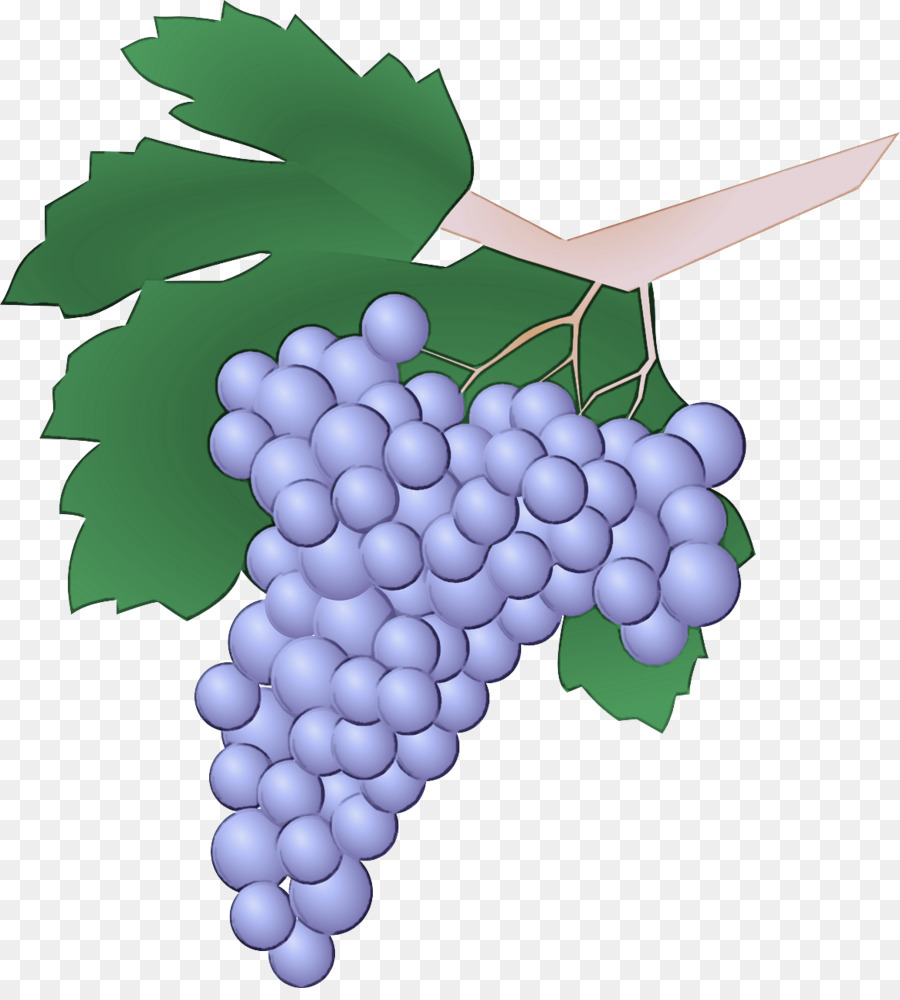 Uvas Moradas，Hojas PNG