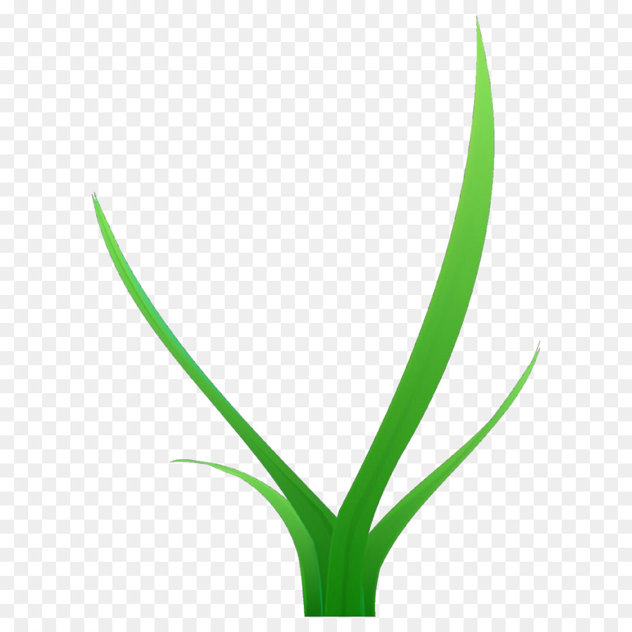 Verde，Hoja PNG