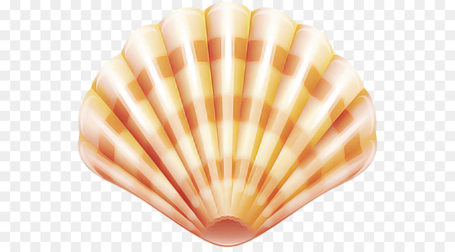 Shell，Melocotón PNG