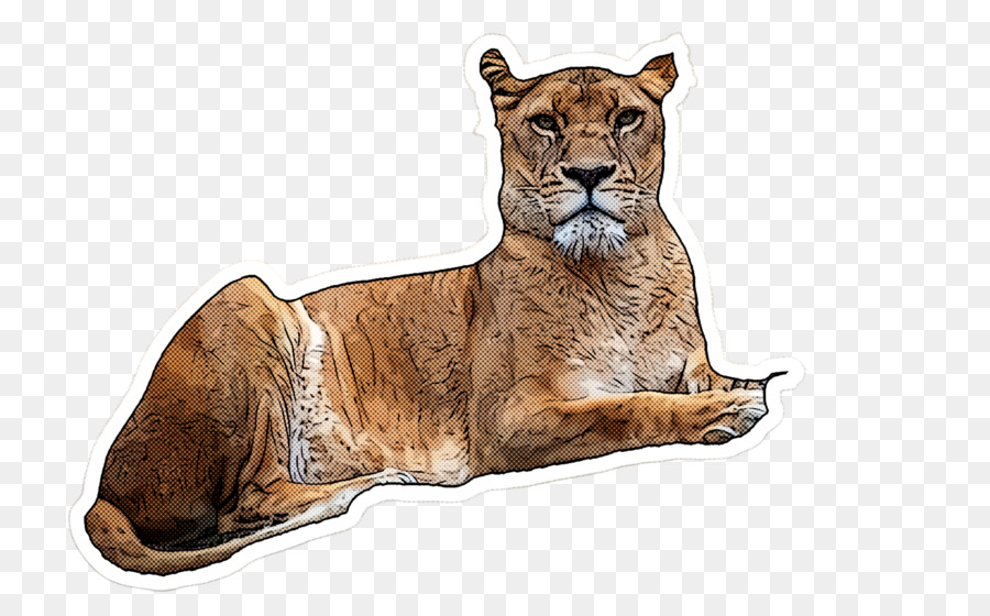 León，Felino De Gran Tamaño PNG