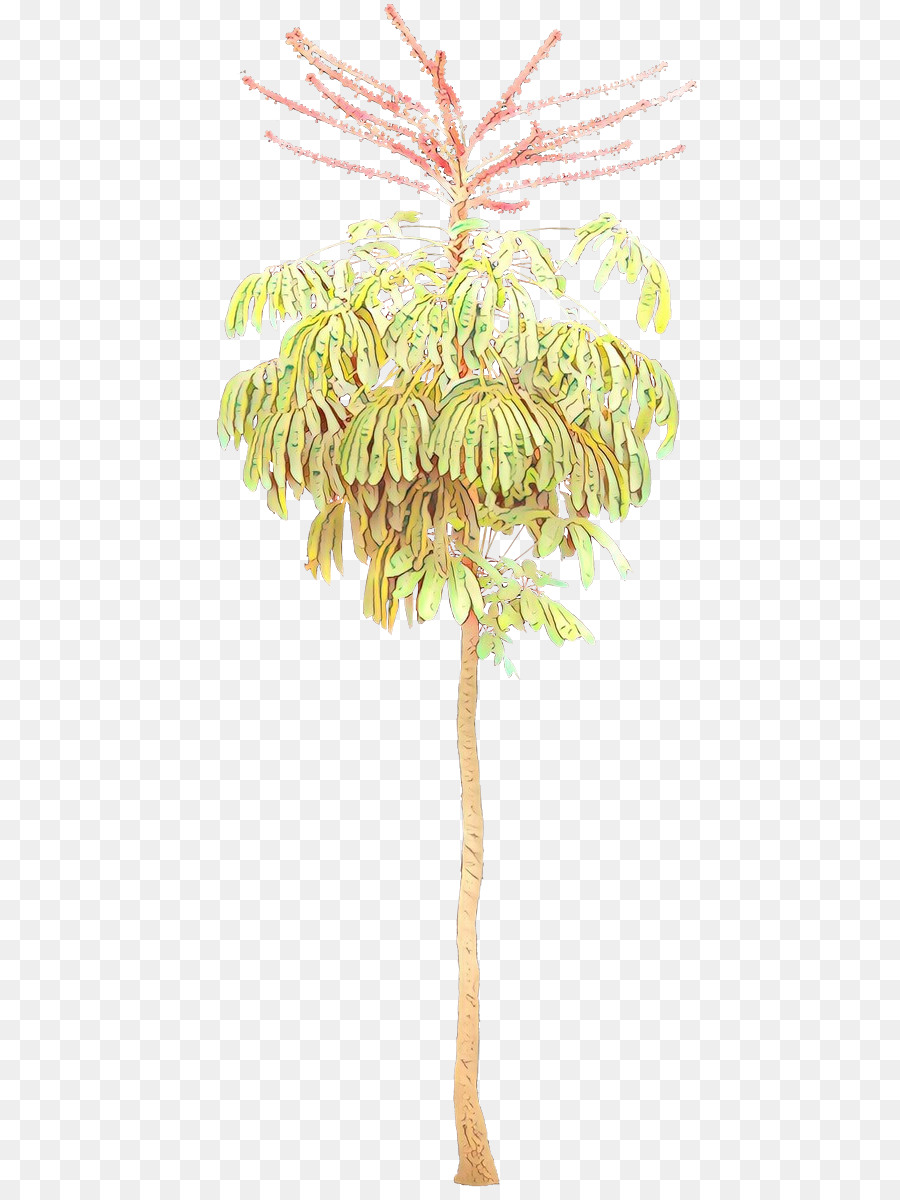 Flor，Árbol PNG