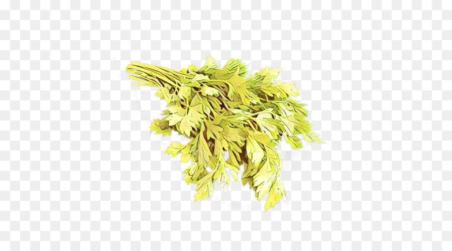 Planta，Amarillo PNG