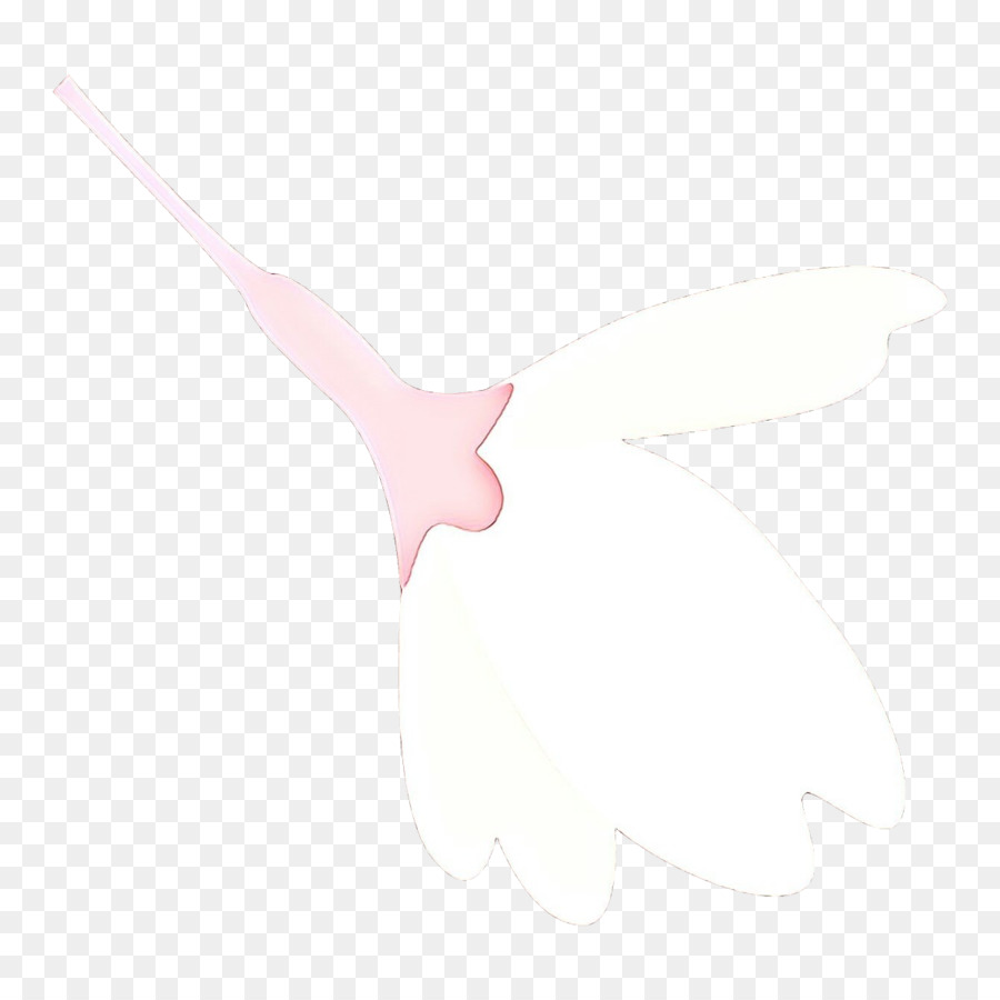 Blanco，Rosa PNG