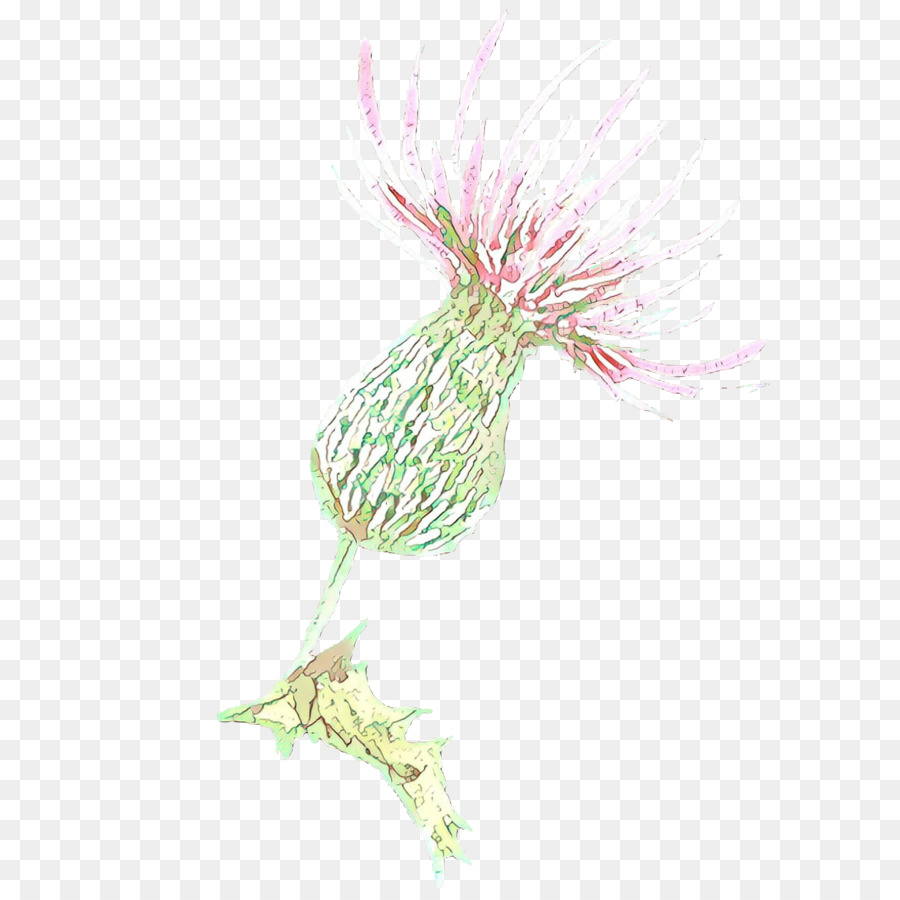 Rosa，Planta PNG