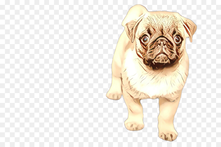 Perro，Pug PNG