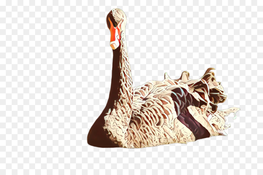 Aves，Pato PNG