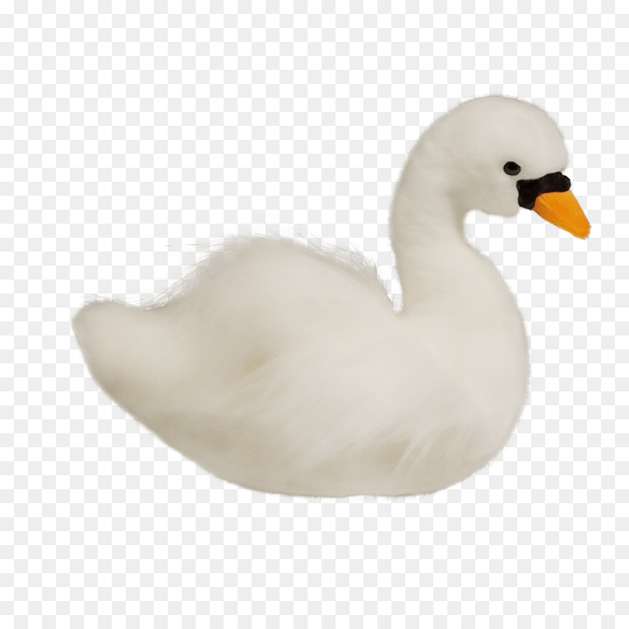 Aves，Swan PNG