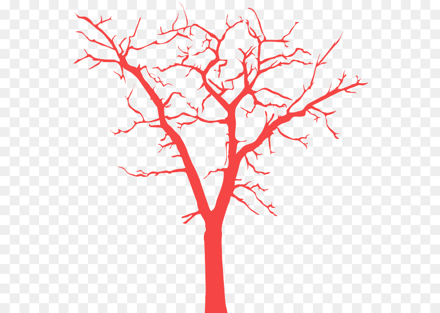 Árbol，Sucursales PNG