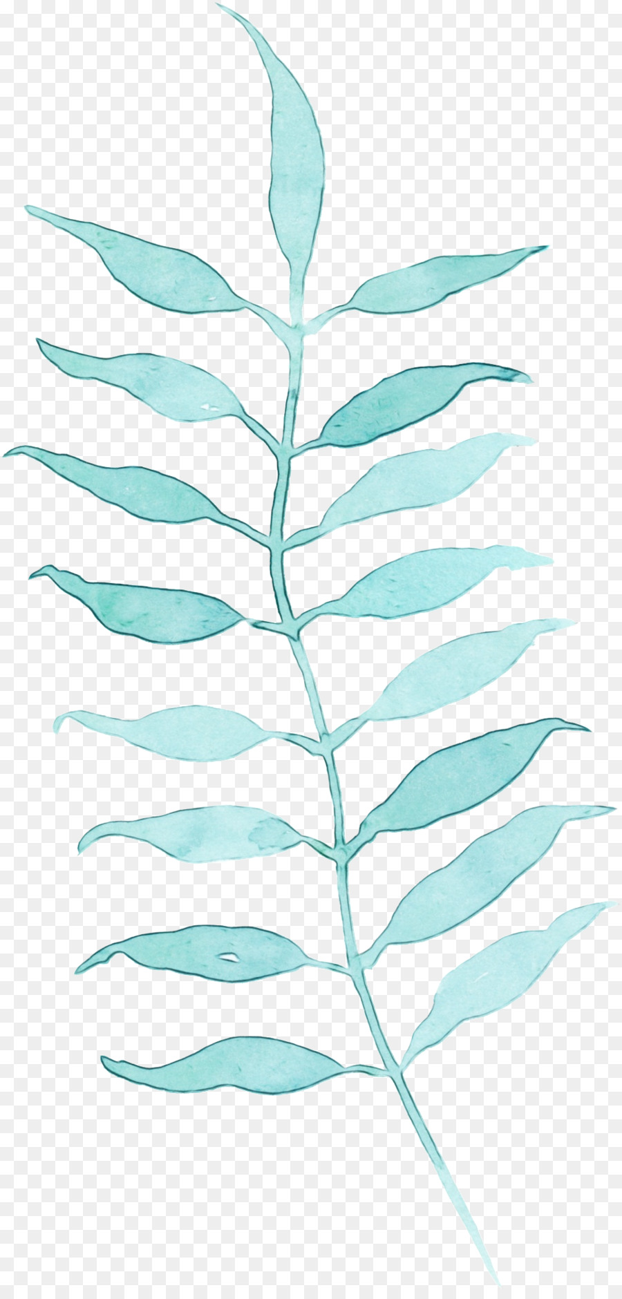 Hoja，Planta PNG