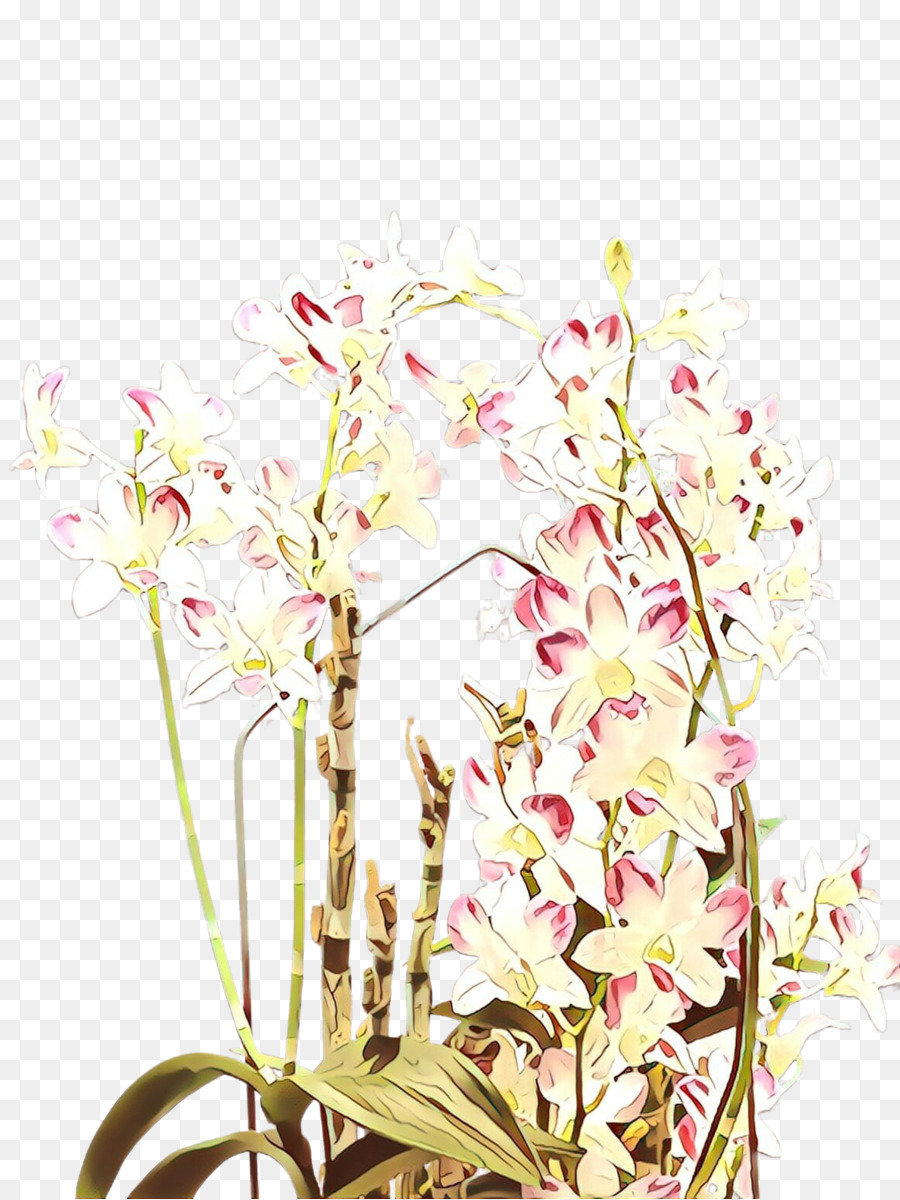 Flor，Planta PNG