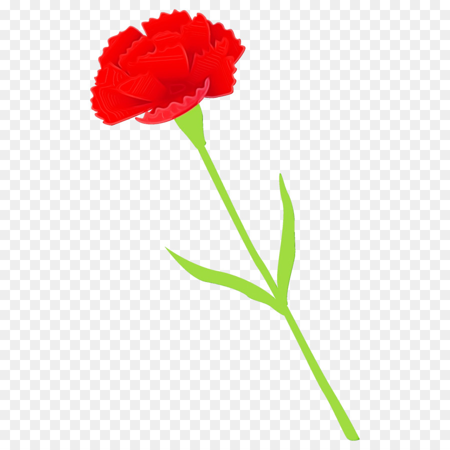 Flor Roja，Provenir PNG